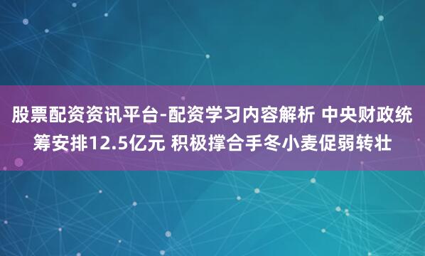股票配资资讯平台-配资学习内容解析 中央财政统筹安排12.5亿元 积极撑合手冬小麦促弱转壮