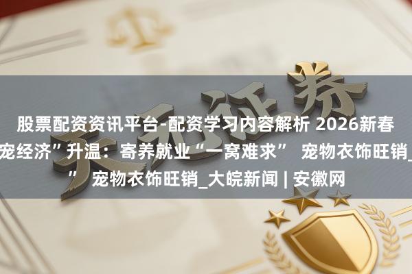 股票配资资讯平台-配资学习内容解析 2026新春走下层丨节前“萌宠经济”升温：寄养就业“一窝难求”  宠物衣饰旺销_大皖新闻 | 安徽网